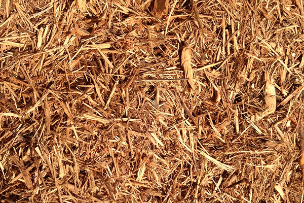 Cedar Mulch