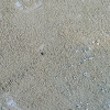 Washed Concrete Sand