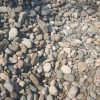 River Rock 1" to 3" Stones - Image 2