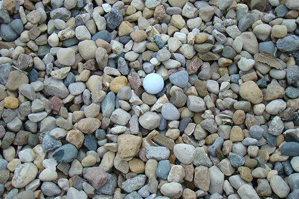 4 Reasons Landscaping with River Rocks is Eco-Friendly