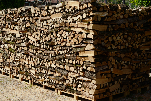 Stacked Firewood