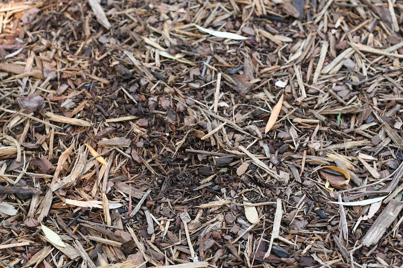 The Hardwood Mulch Difference
