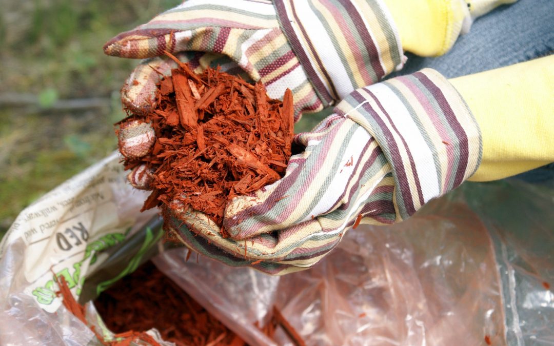 Color-enhanced mulch