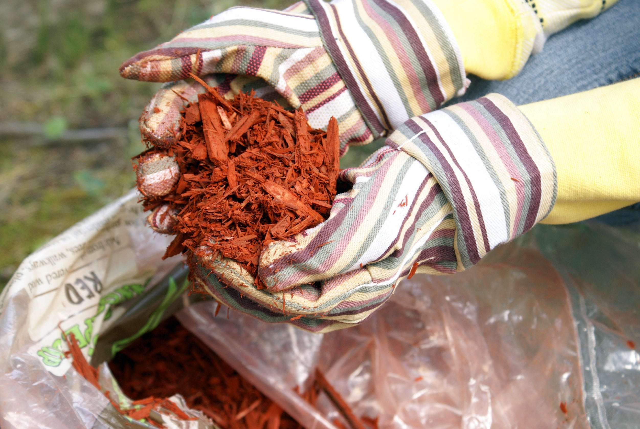 Color-enhanced mulch