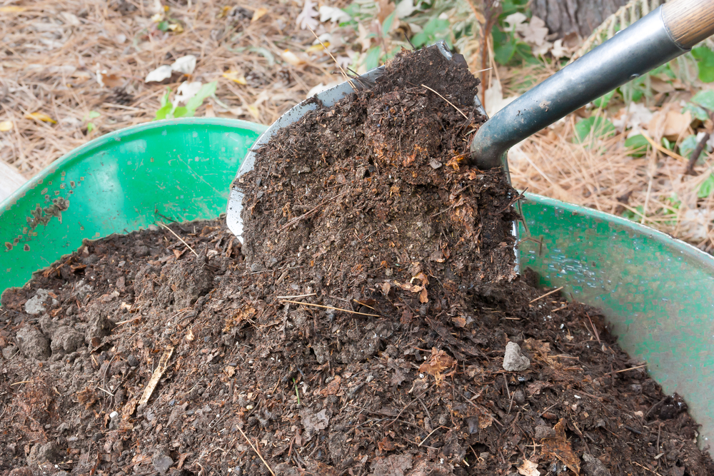 Composting Brings Life Back in Your Soil