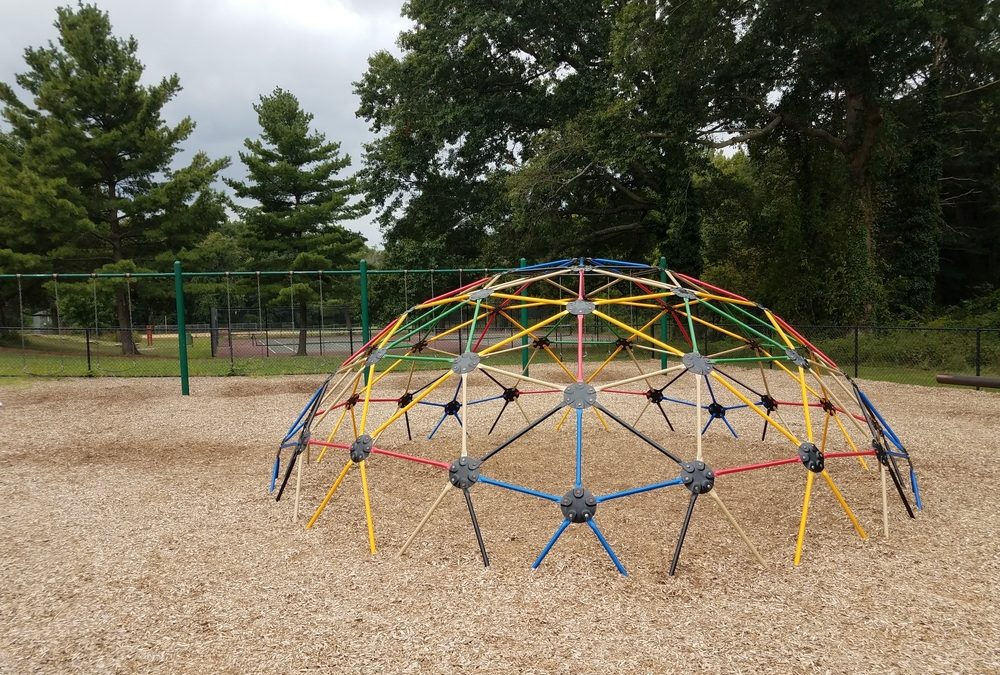 Playground wood chips