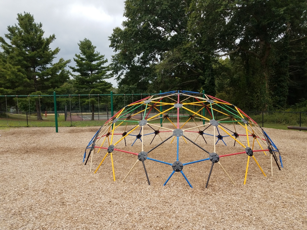 Playground wood chips