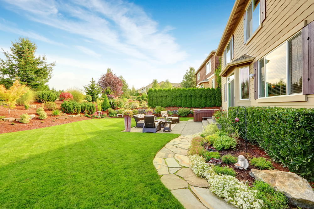 Lawn Care Essentials for a Healthy, Green Yard
