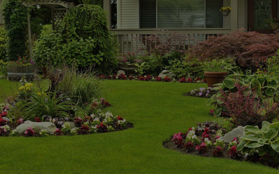 DIY Landscaping Ideas