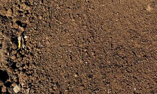 landscaping topsoil