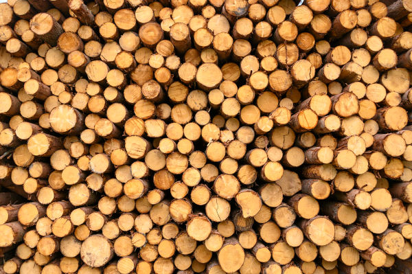 Buy Firewood Online in Reston, VA — Reston Farm Garden Market