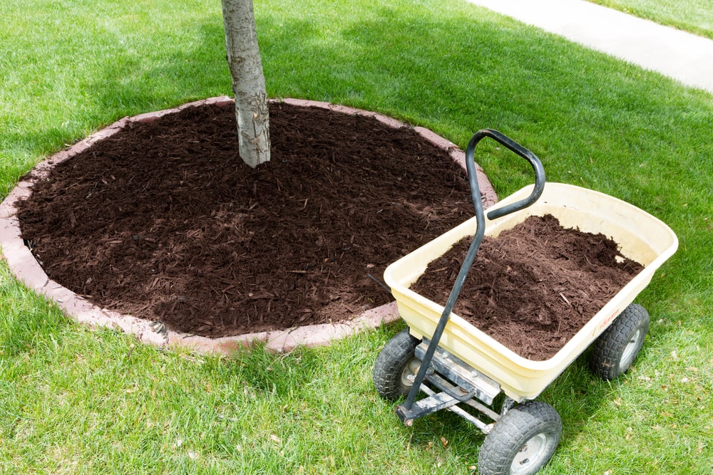 5 Mulch Types and Their Benefits for Your Garden