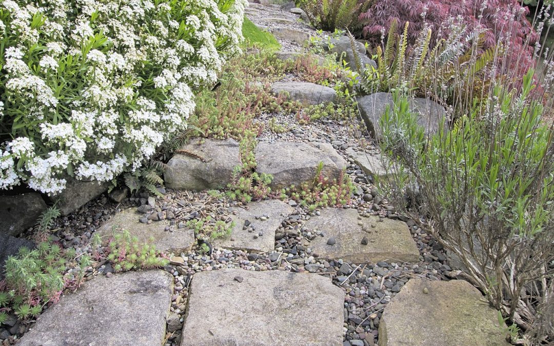 A drainage trench with stepping stones inside it