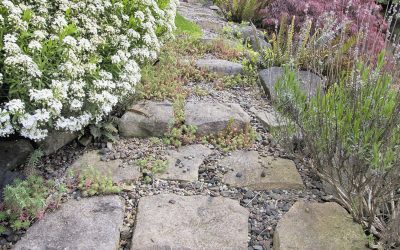 A drainage trench with stepping stones inside it