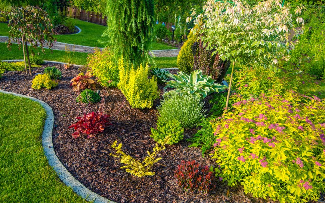 nicely maintained landscaping featuring a mulched area with various plants and shrubs