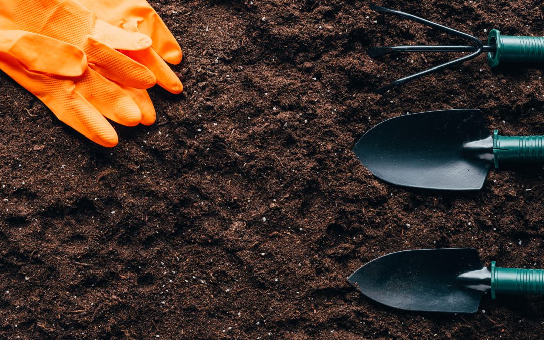 The Ultimate Guide to Choosing the Right Soil for Your Plants