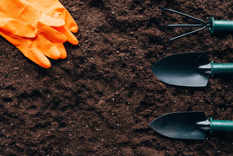 The Ultimate Guide to Choosing the Right Soil for Your Plants ...