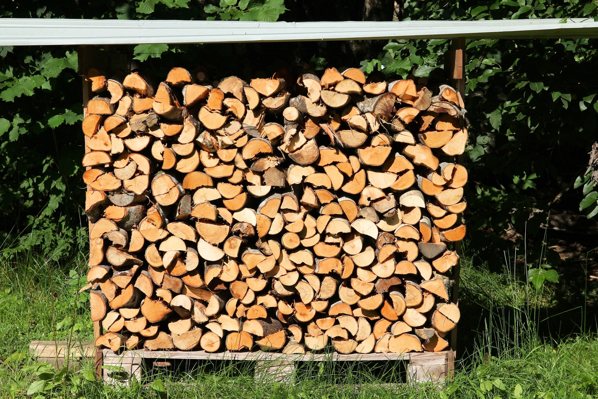 Stacked seasoned firewood